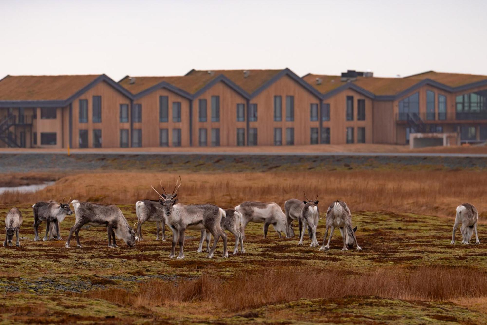 Hotel Joekulsarlon - Glacier Lagoon Hotel Gerdi Exterior foto